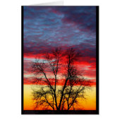 Lake Winnebago Sunset Resembling American Flag (Front)