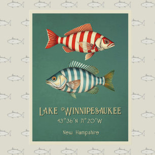 Lake Winnipesaukee New Hampshire fish Postcard
