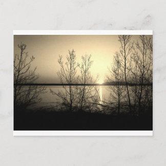 Lakefront trees and sunset postcard