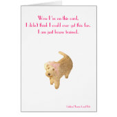 Lakeland Terrier (Front)