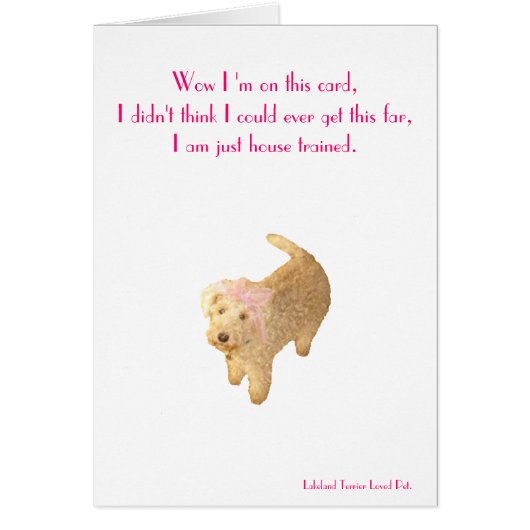 Lakeland Terrier Cards (Front)