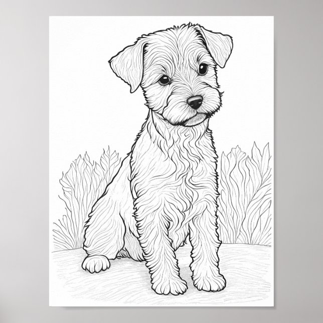 Lakeland Terrier Dog Adult Coloring Poster (Front)
