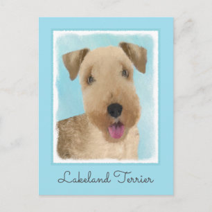 Lakeland Terrier Painting - Cute Original Dog Art Postcard