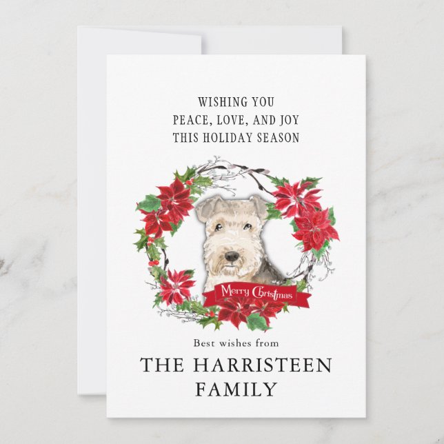 Lakeland Terrier Watercolor Poinsettia Christmas Holiday Card (Front)