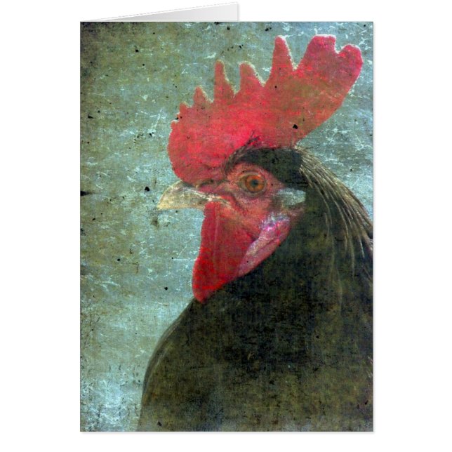 Lakenvelder Rooster With Texture Cards (Front)