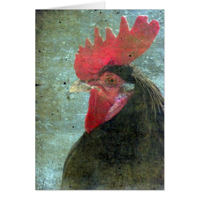 Lakenvelder Rooster With Texture Cards