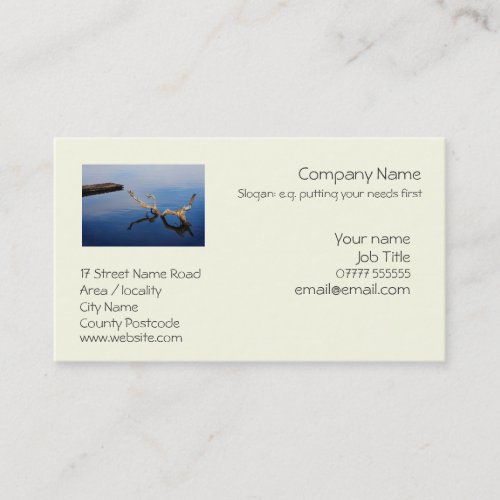Lakes Edge tranquil scene therapy Business Card