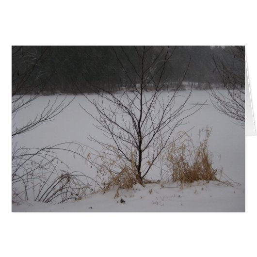 Lake's Edge, Winter Cards (Front Horizontal)