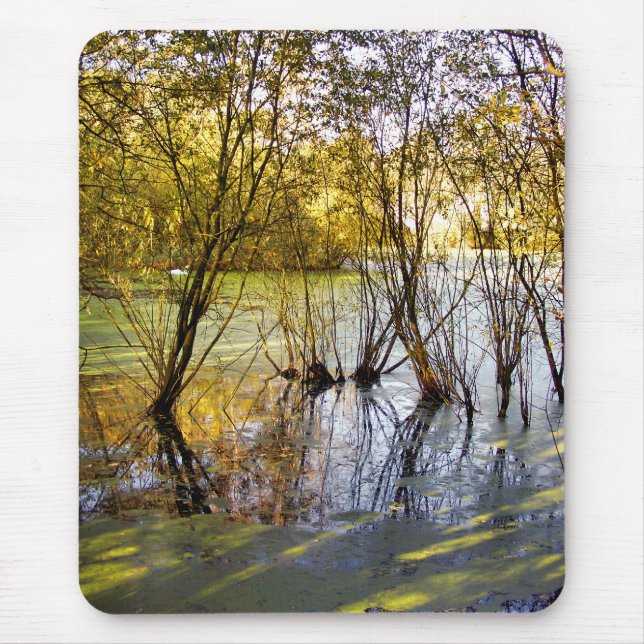 LAKES MOUSE PAD (Front)