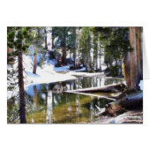 Lakes Trees Forrests (Front Horizontal)