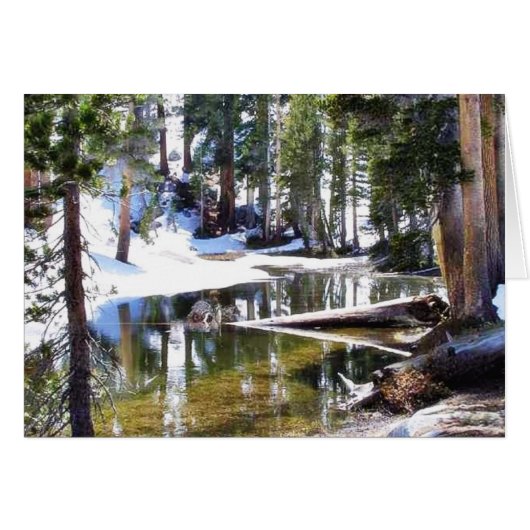 Lakes Trees Forrests Cards (Front Horizontal)