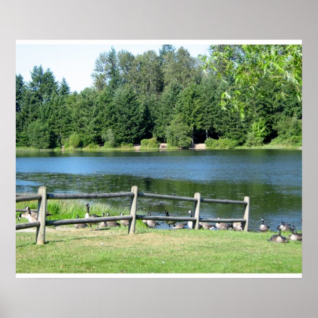 Lakeside Geese at the Park Poster (Front)