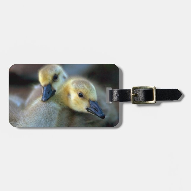 Lakeside Luggage Tag (Front Horizontal)