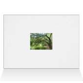 Lakeside Oak at Hilton Head Nature Preserve Cards (Inside Horizontal (Top))