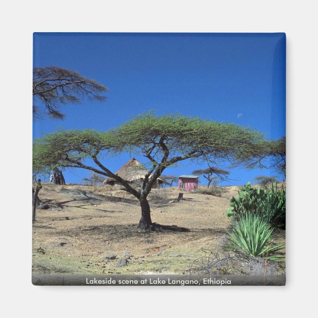 Lakeside scene at Lake Langano, Ethiopia Magnet (Front)