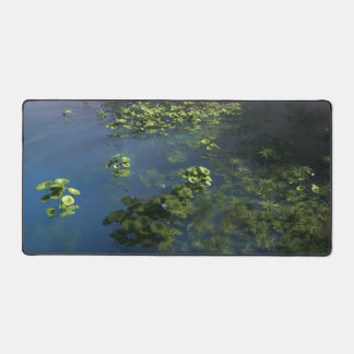 Lakeside (Shallows) Desk Mat