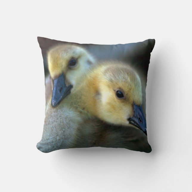 Lakeside Throw Pillow (Front)