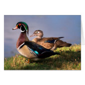 Lakeside, Wood Duck (Front Horizontal)