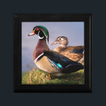 Lakeside, Wood Duck Jewelry Box<br><div class="desc">Jaynes Gallery / DanitaDelimont.com | USA,  North America,  California | USA,  California,  Lakeside,  Wood Duck. Credit as: Christopher Talbot Frank / Jaynes Gallery / DanitaDelimont.com</div>