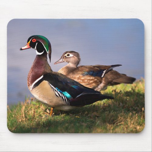 Lakeside Wood Duck Mouse Pad