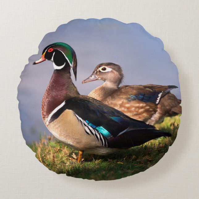 Lakeside, Wood Duck Round Pillow (Front)