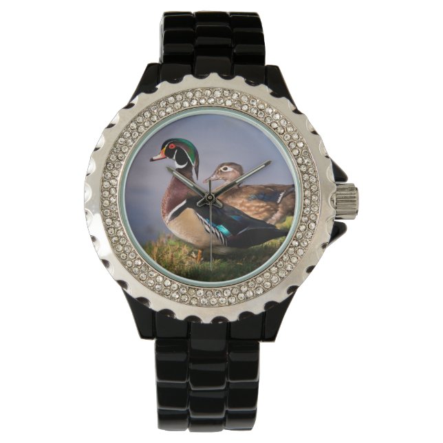 Lakeside, Wood Duck Watch (Front)
