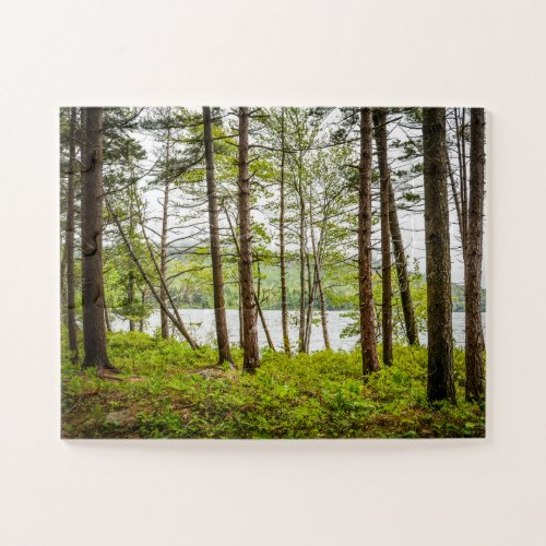 Lakeside Woods in Maine Oversized Jigsaw Puzzle