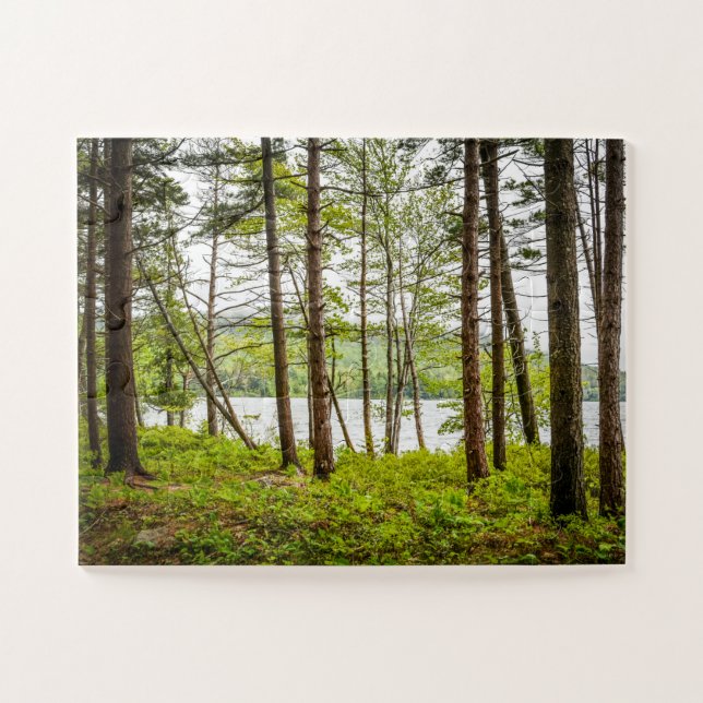 Lakeside Woods in Maine Oversized Jigsaw Puzzle (Horizontal)