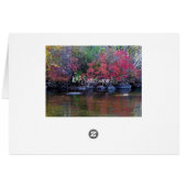 Lakeview Cards (Back Horizontal)