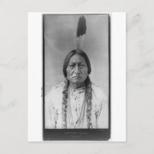 Lakota American Indian Chief Sitting Bull Postcard