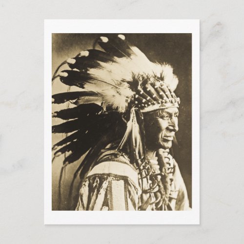 Lakota Sioux Chief White Swan Postcard