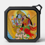 Lakshmi Narayan Speakers – Divine Audio Gadget Des