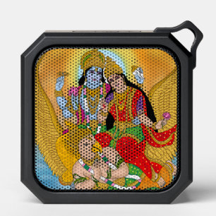 Lakshmi Narayan Speakers – Divine Audio Gadget Des