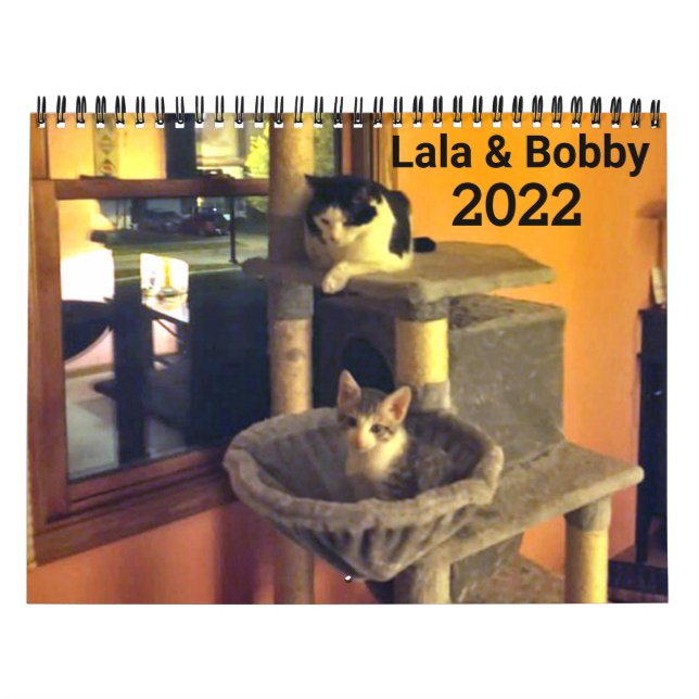 Lala & Bobby 2022 Personalized Cats Calendar (Cover)