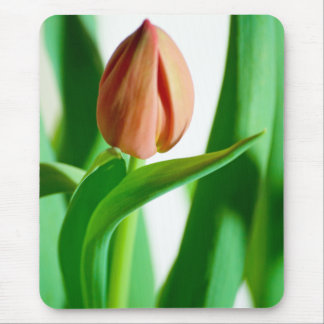 lala Tulip Mousepad