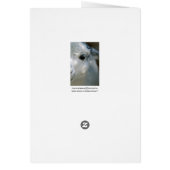 Lama Cards (Back)