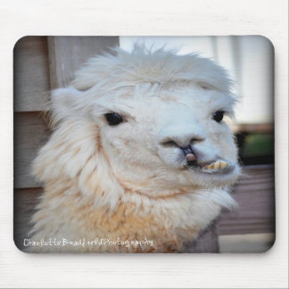 Lama Mousepad