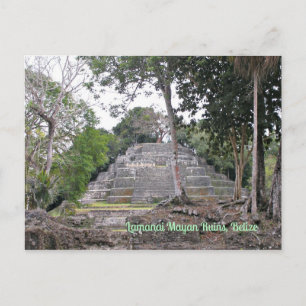 Lamanai Mayan Ruins Belize Postcard