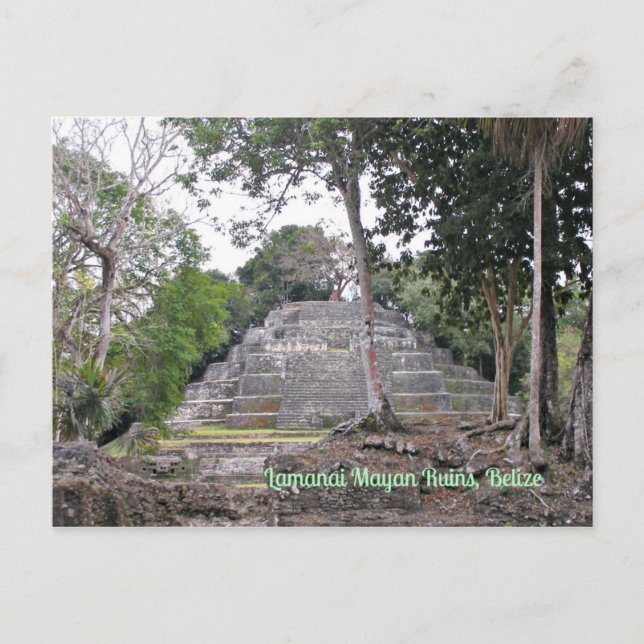 Lamanai Mayan Ruins Belize Postcard (Front)