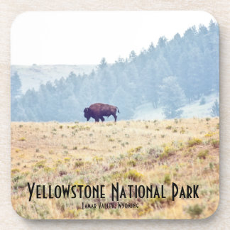 Lamar Beverage Coaster