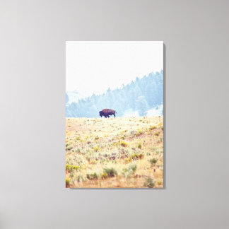 Lamar Canvas Print