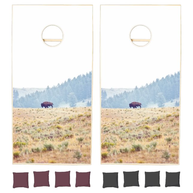 Lamar Cornhole Set (Set)