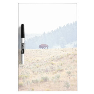 Lamar Dry Erase Board