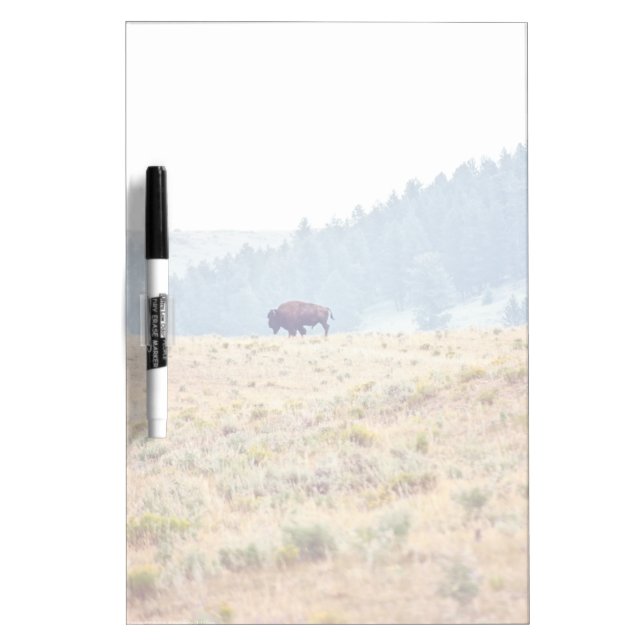 Lamar Dry Erase Board (Front)