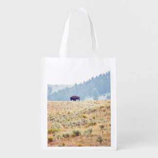 Lamar Grocery Bag