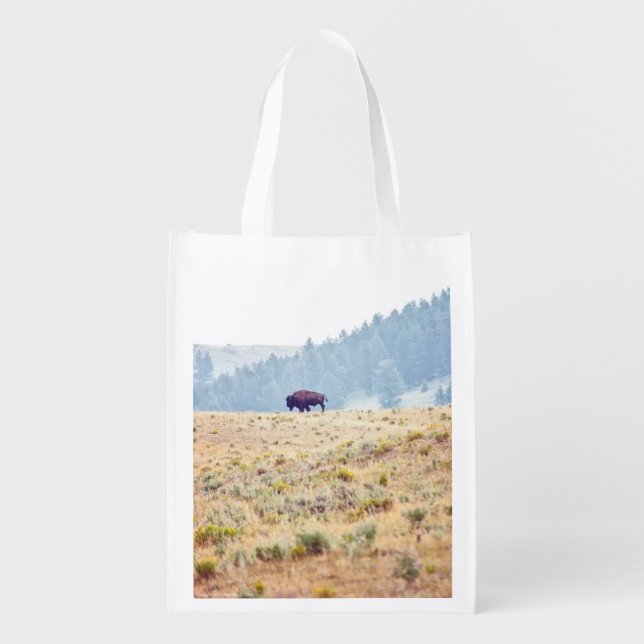 Lamar Grocery Bag (Front)