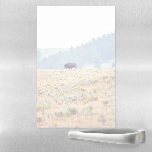 Lamar Magnetic Dry Erase Sheet (In Situ)