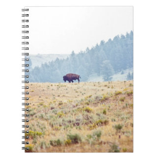 Lamar Notebook