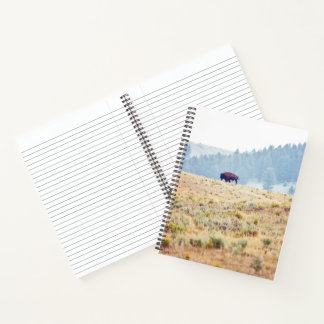 Lamar Notebook