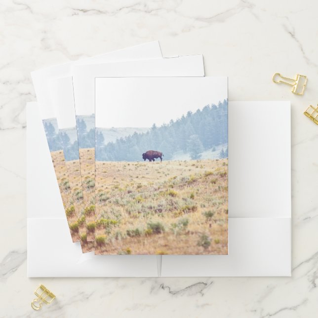 Lamar Pocket Folder (In Situ)